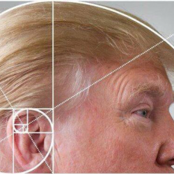 Are you on the quest to find the social media golden ratio?